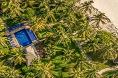 Palms Aerial View