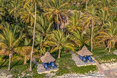 Palms Aerial View