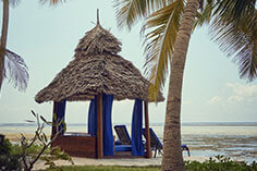 Palms Beach View