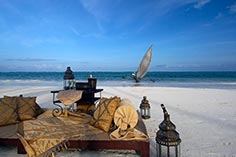 Palms Sundowners on the beach