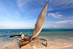 Palms Zanzibari dhow